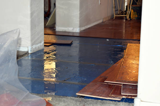 Professional Water Damage Restoration technician working in Taylor, TX